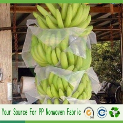 Kína gyártás banán védelme táska