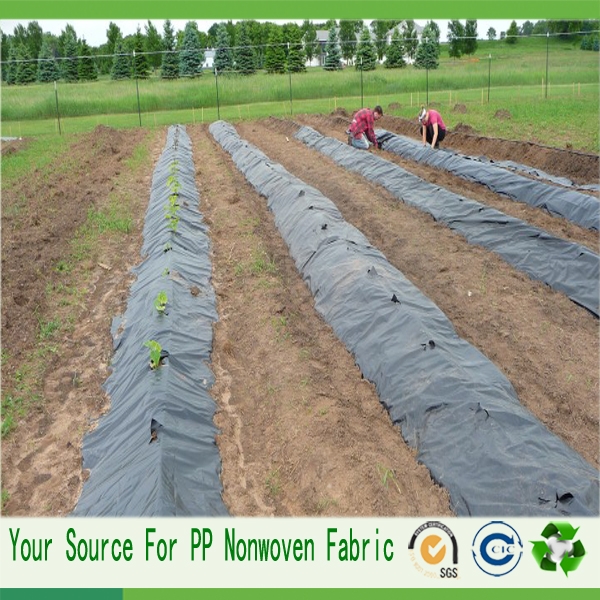 agriculture cover